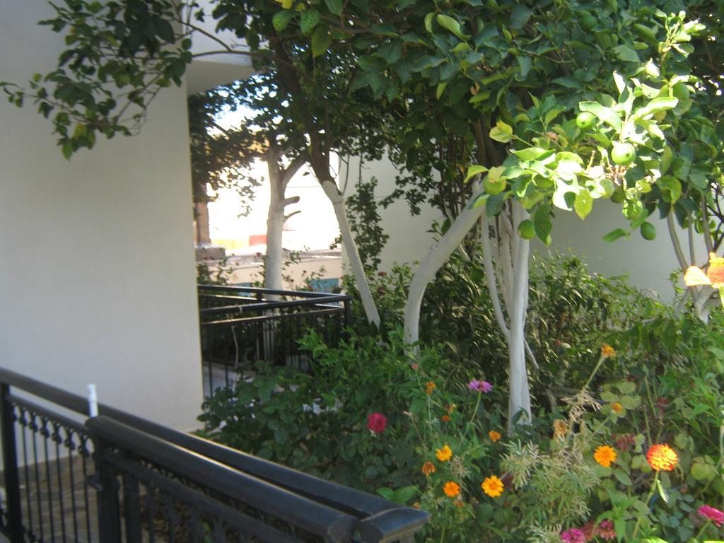 Hotel Friderica House Poros  Pokoj fotografie