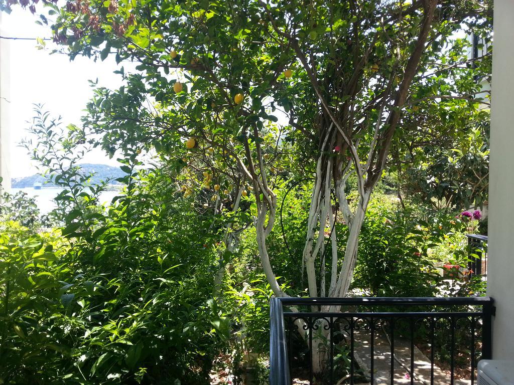 Hotel Friderica House Poros  Exteriér fotografie